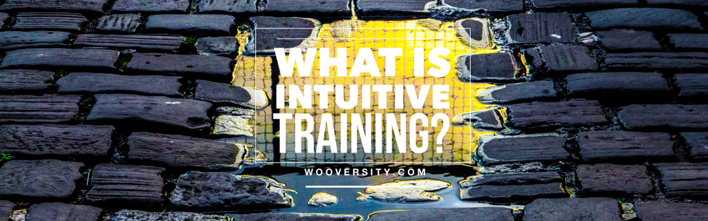 What is Intuitive Training?